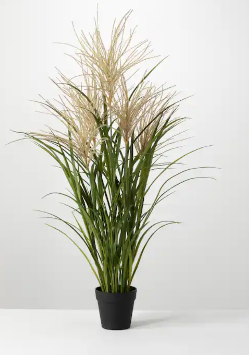 A potted agave plant with a green color and a height of about 10 cm, featuring a pot with a black base.