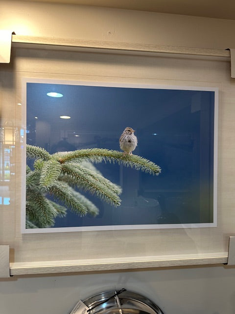 A framed artwork of a bird on a branch with a nighttime background, displayed on a kitchen wall.