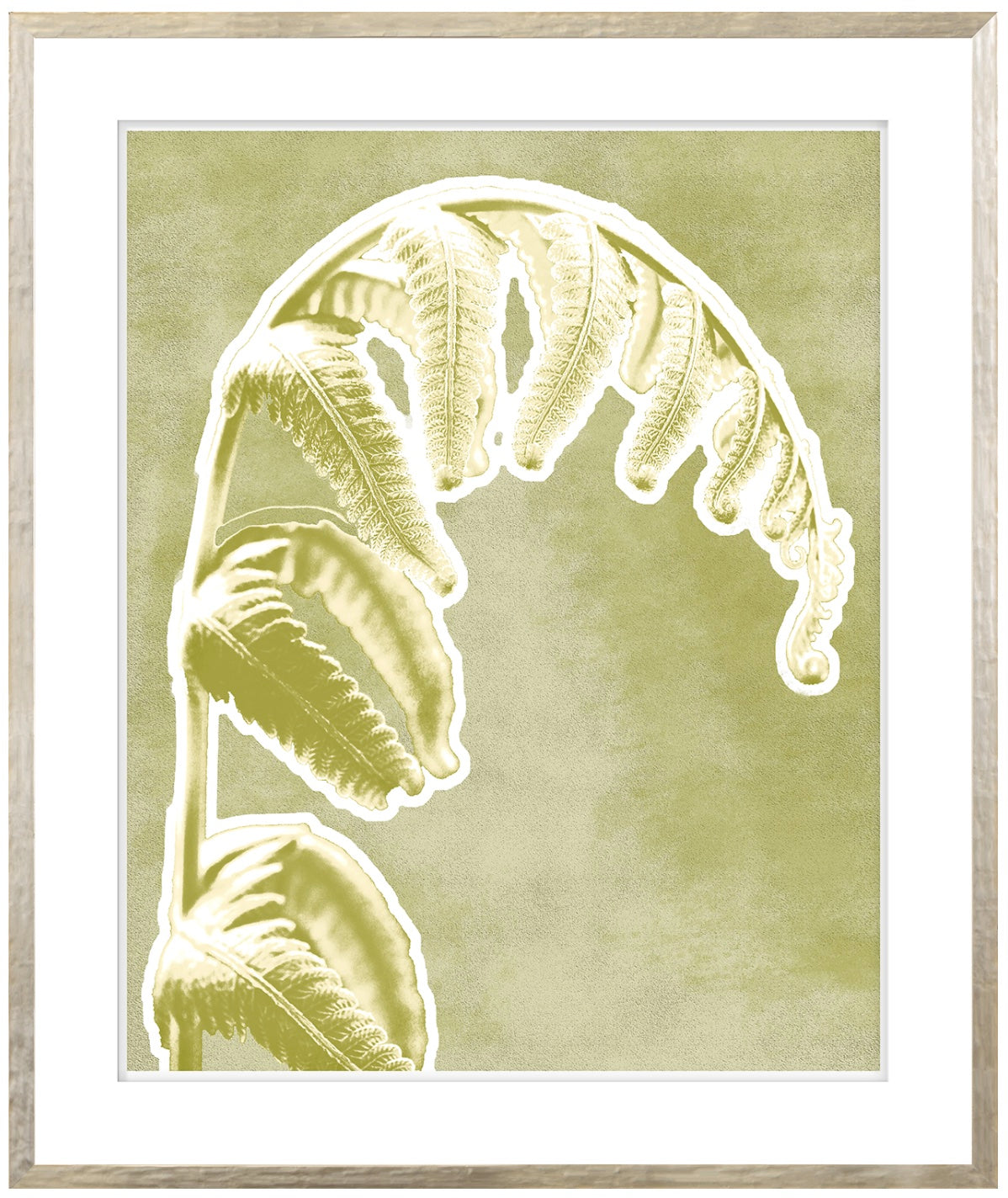 A framed artwork featuring a weeping frond plant in green tones with a contemporary silver profile and raised matte detail.