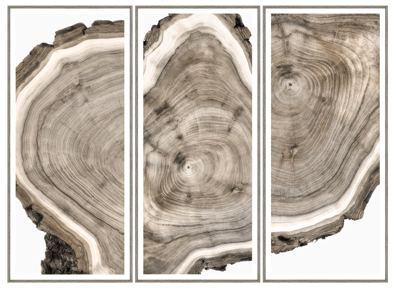 A set of three vertical panels featuring a live edge wood design, with each panel displaying varying shades of brown and white, resembling the appearance of tree trunk sections.