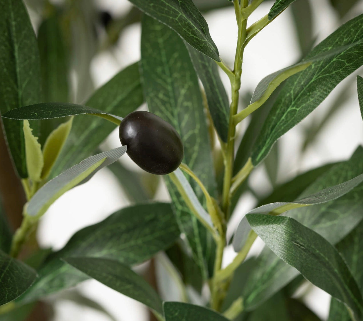 Close up of artificial olive tree with green leaves and a black olive. 