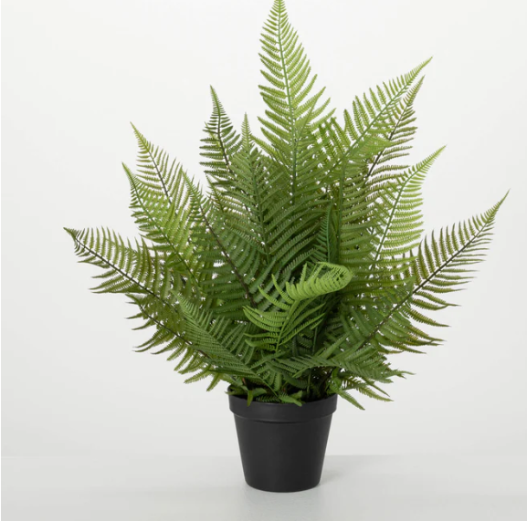 A lifelike potted fern with green fronds in a sleek black plastic pot.
