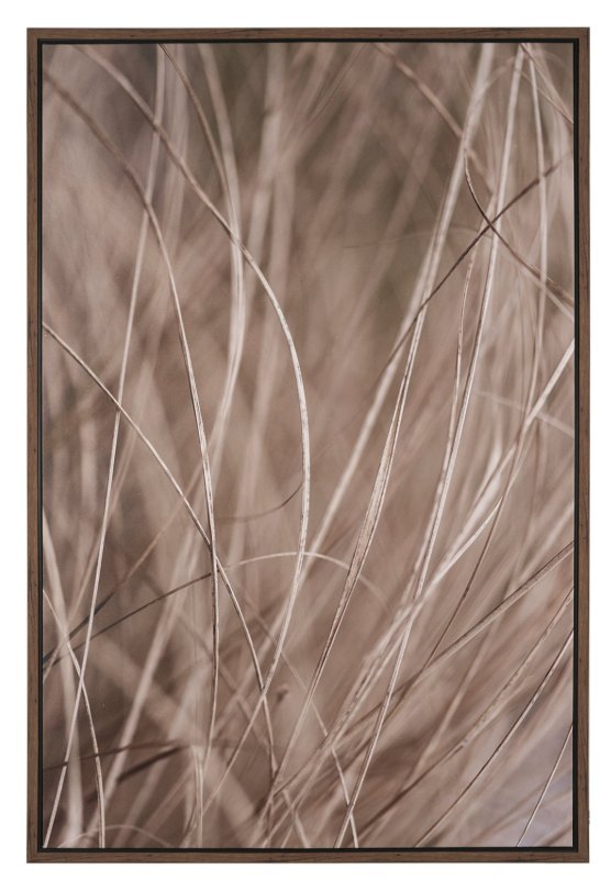 Summer Grass 3