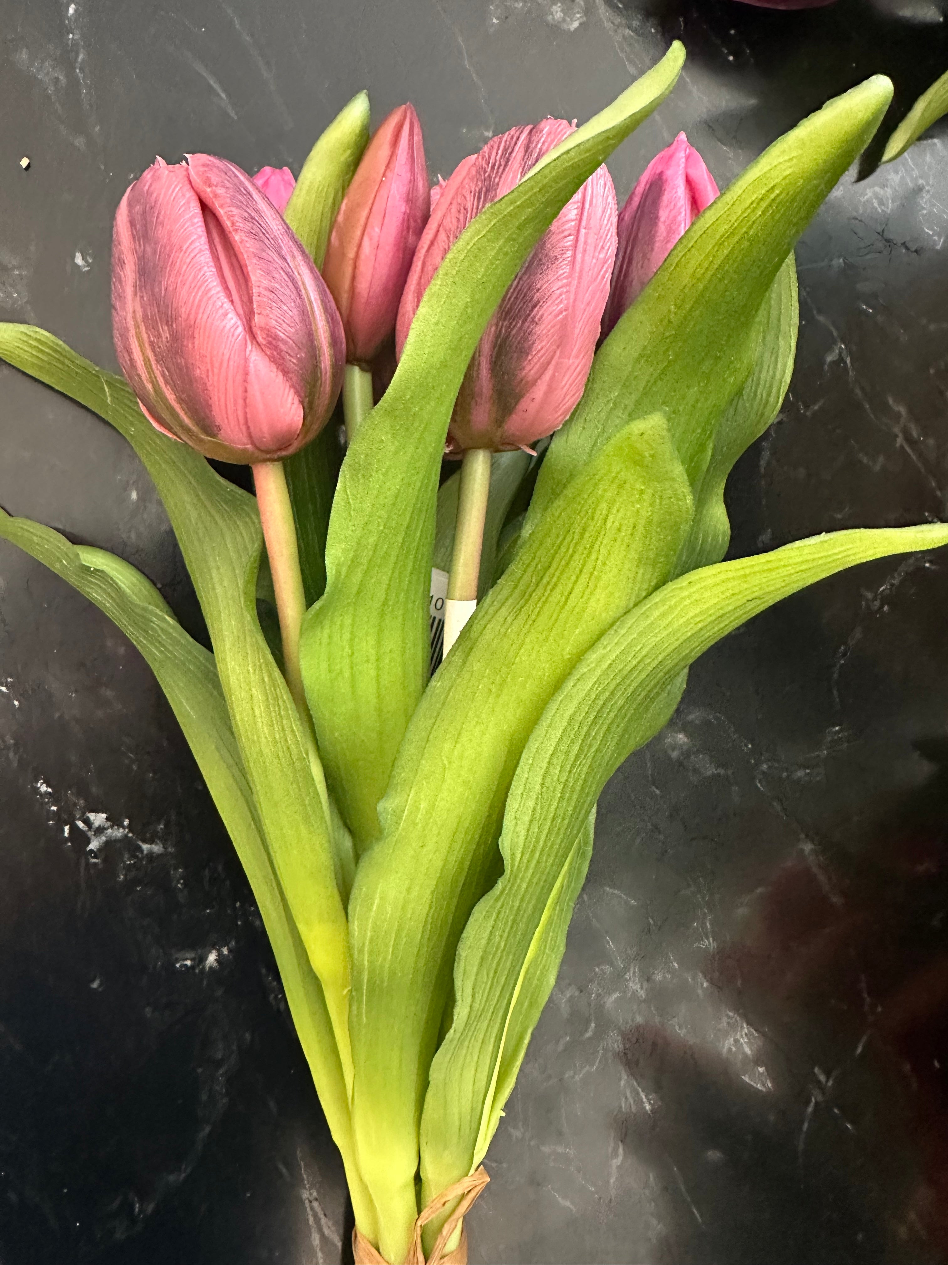 12"  Dark Plum Formosa Tulip Bundle - 4 Flowers & 3 Buds