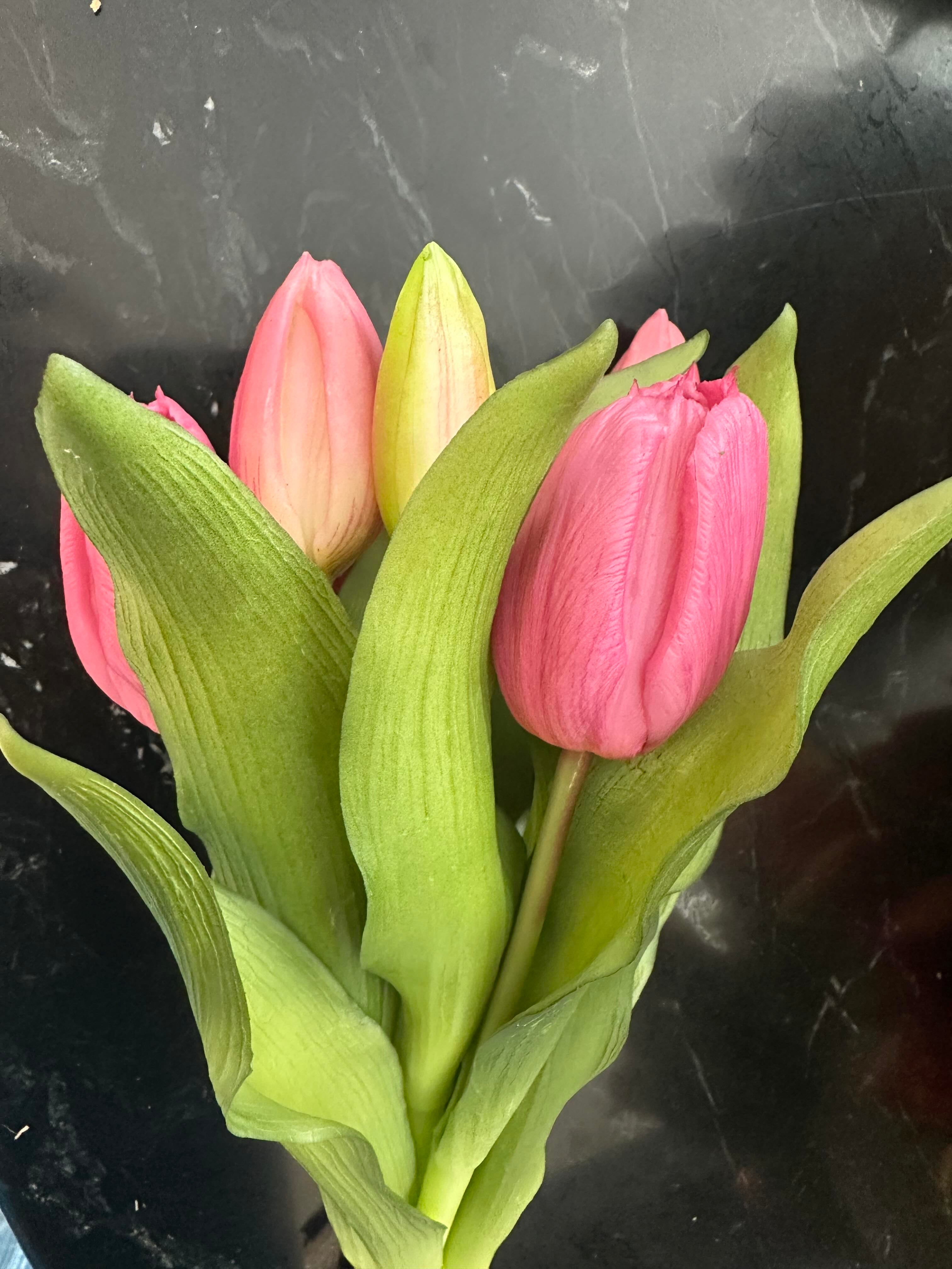 12"  Deep Blush Pink Formosa Tulip Bundle - 4 Flowers & 3 Buds