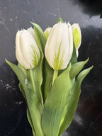 12" White Formosa Tulip Bundle - 4 Flowers & 3 Buds