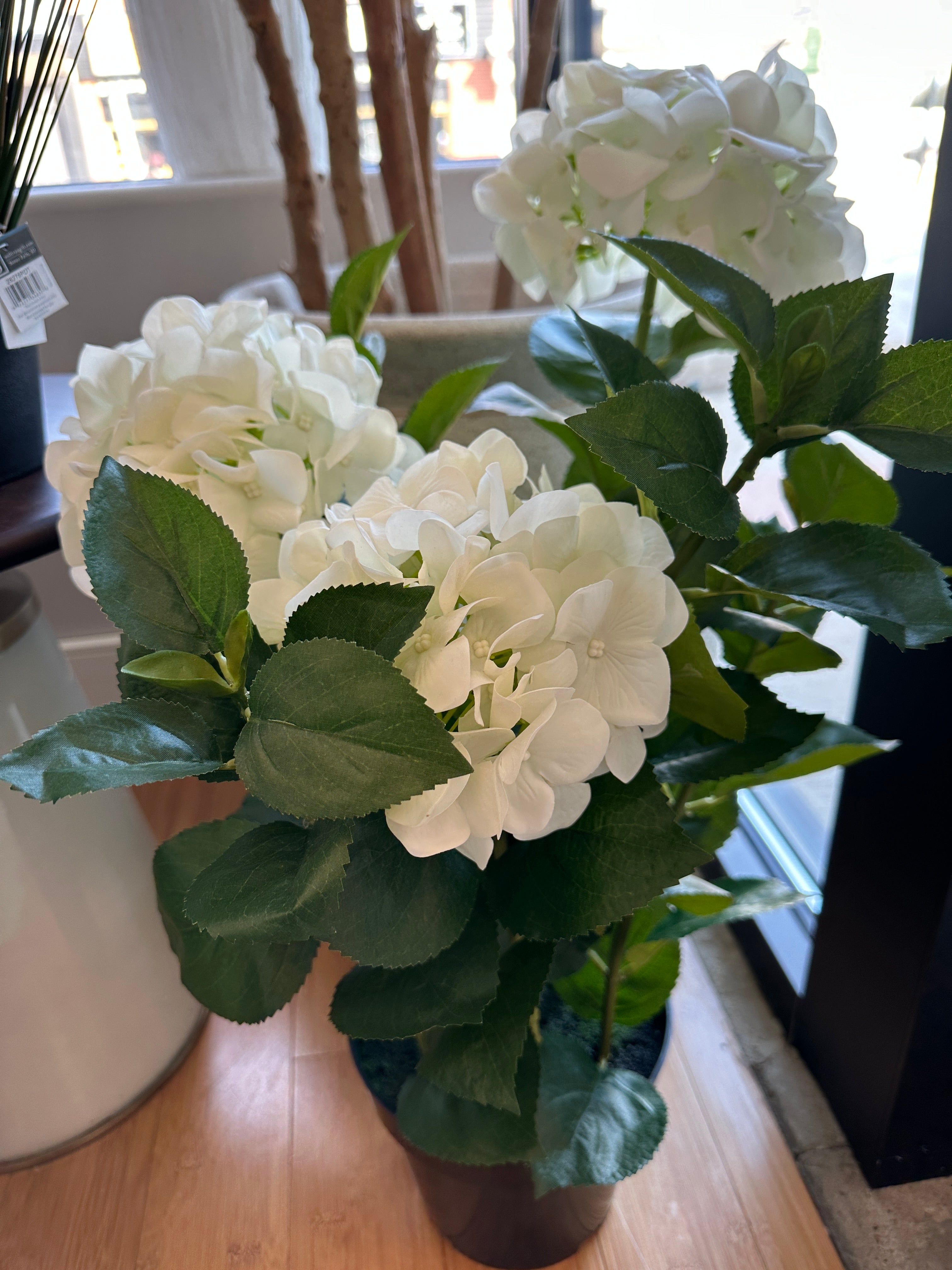 Hydrangea White Fresh Touch