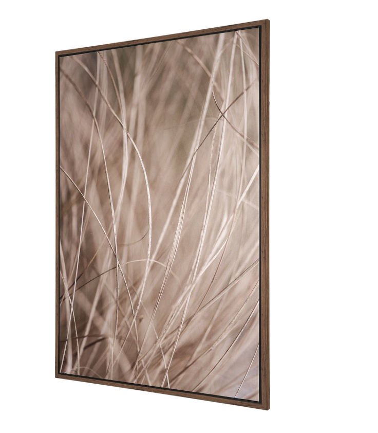 Summer Grass 3