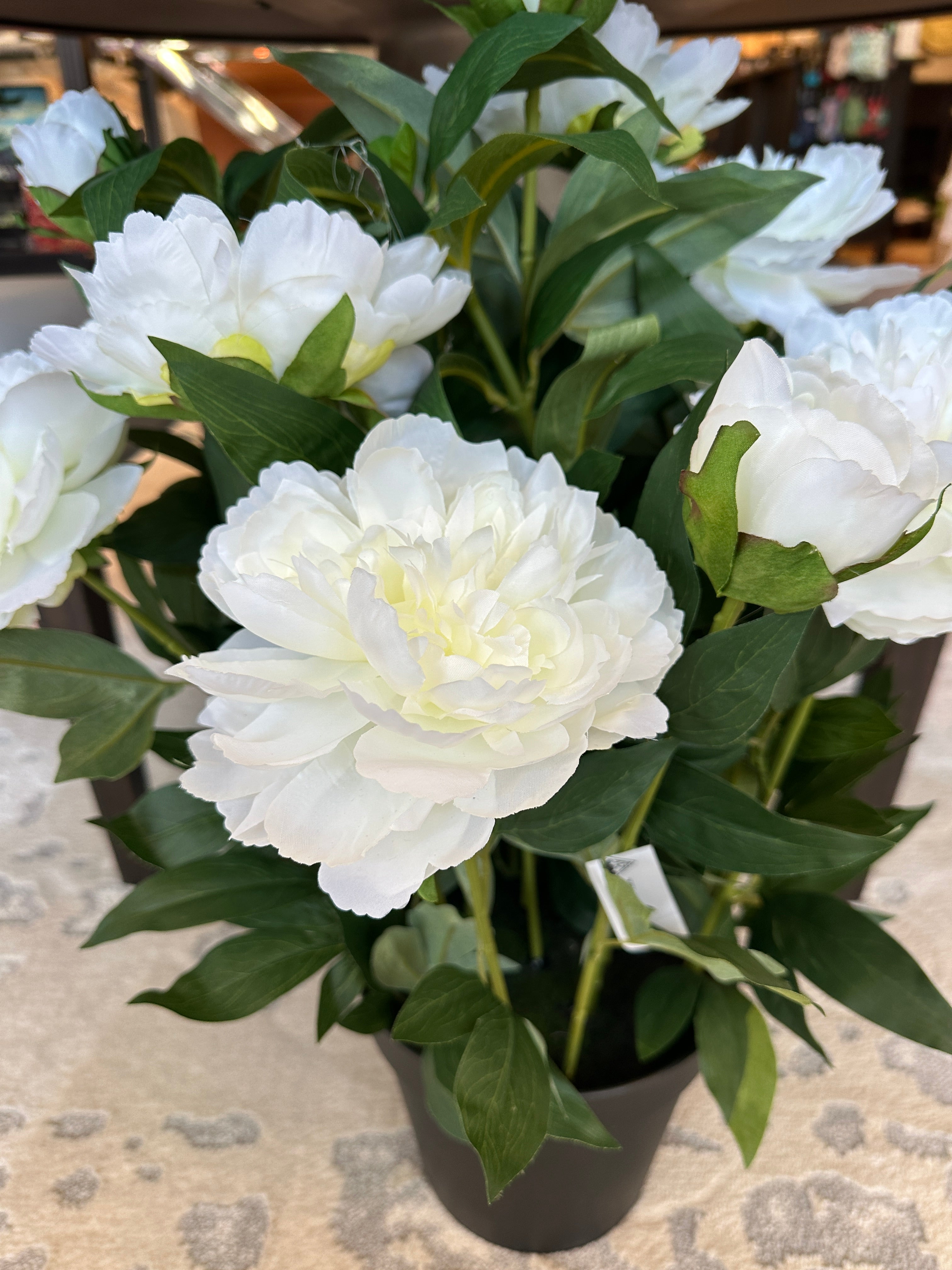 Peony White Fresh Touch